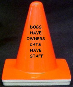"Dogs have owners, Cats have staff" - 4" Blaze Cone - Workzone